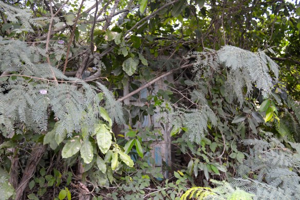 can you see the house in there?