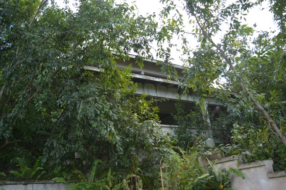 Soon the trees will completely cover these homes.