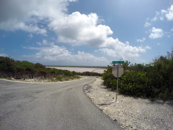 DCIM100GOPROGOPR1433.