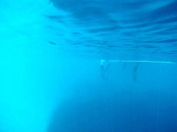 DCIM100GOPROGOPR1647.